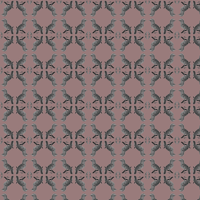 Alec pink close up two luxury wallpaper