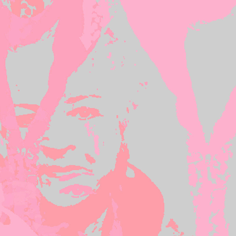 Pat Butcher coral close up luxury wallpaper