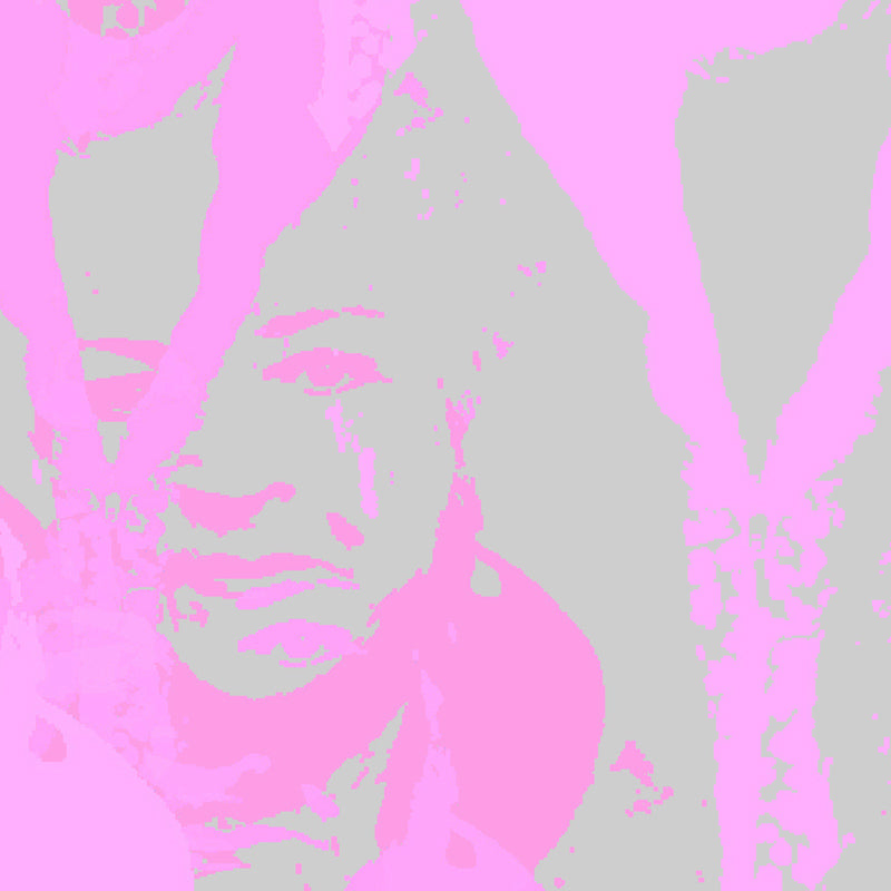 Pat Butcher pink close up luxury wallpaper