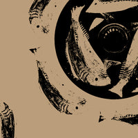 Poisson petale brown close up luxury wallpaper