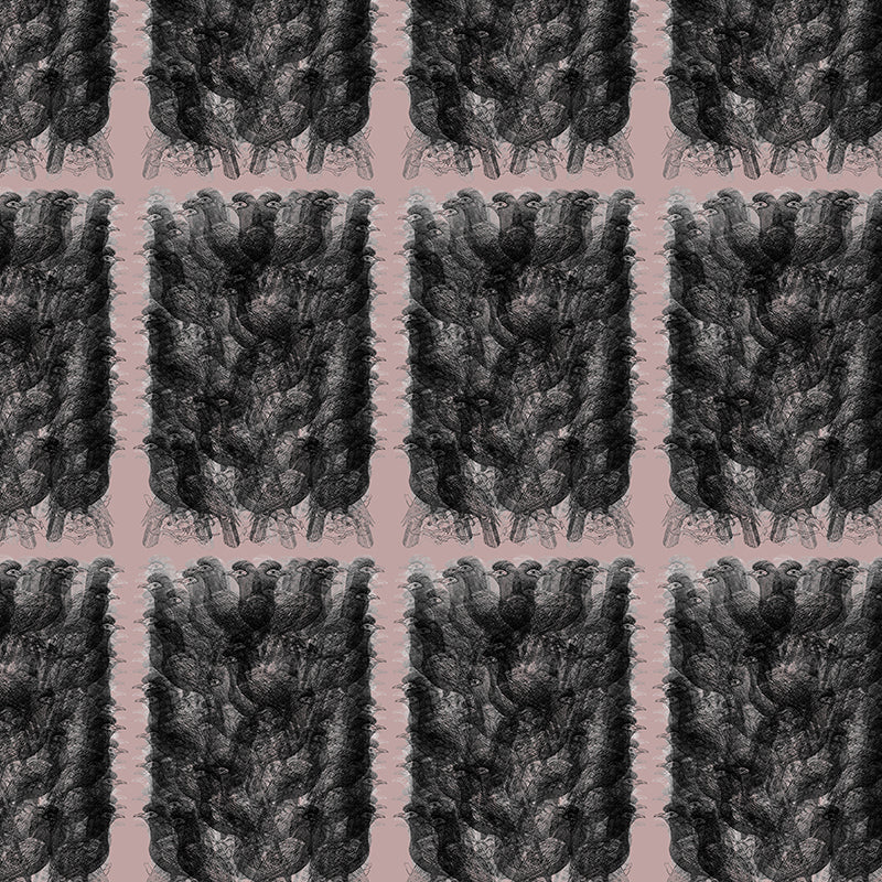 alectro suede black luxury wallpaper