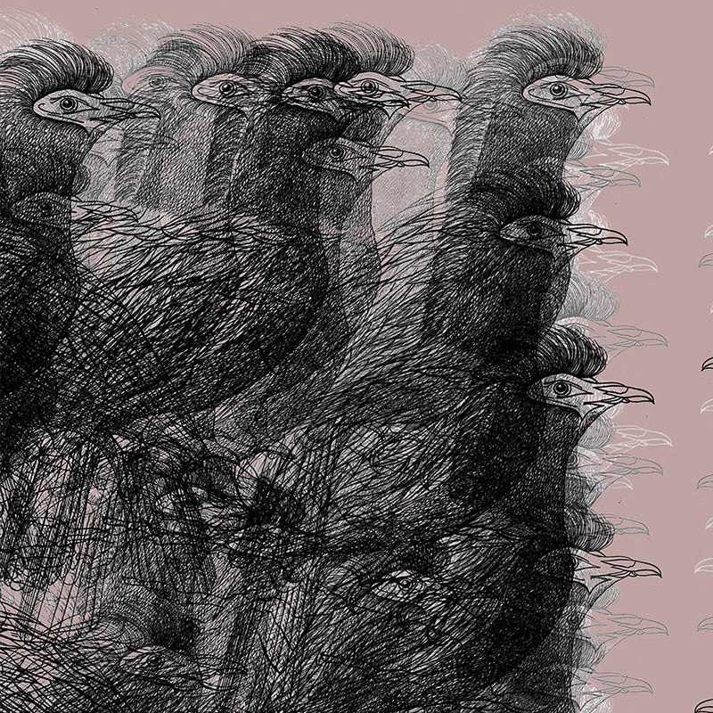 alectro suede pink close up two luxury wallpaper