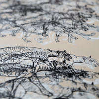 copious taz beige animal  close up luxury wallpaper