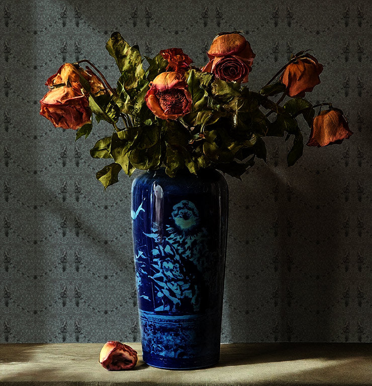 fallen angel navy luxury wallpaper close up