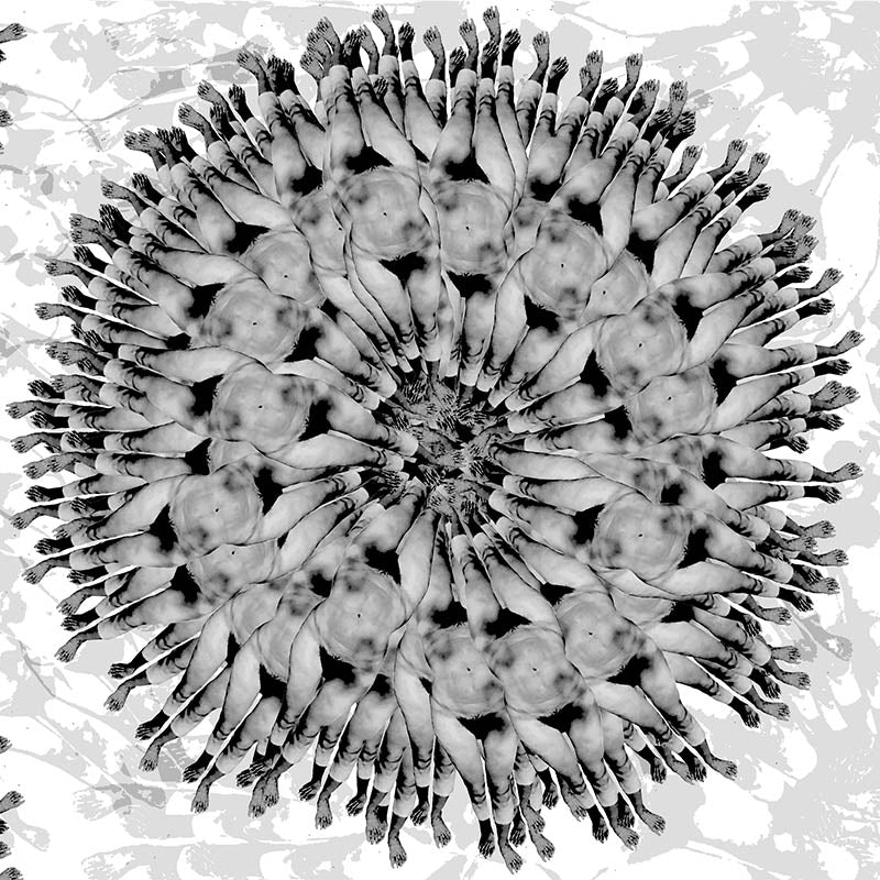 femme black close up luxury wallpaper