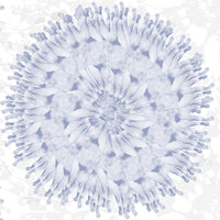 femme blue close up luxury wallpaper