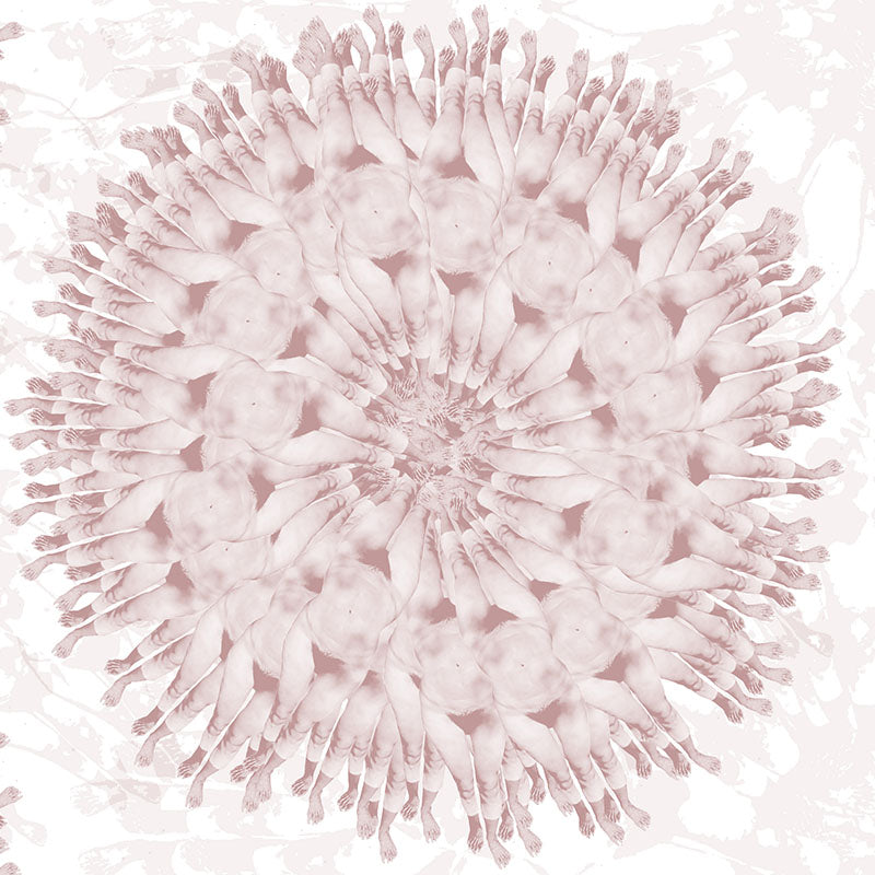 femme brown close up luxury wallpaper