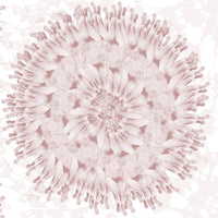 femme brown close up luxury wallpaper