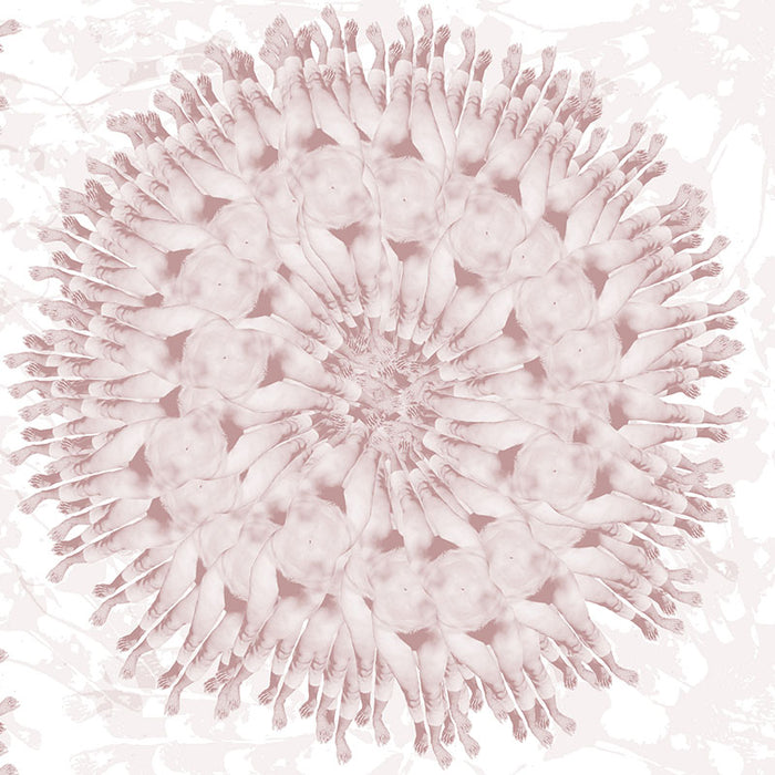 femme brown close up luxury wallpaper