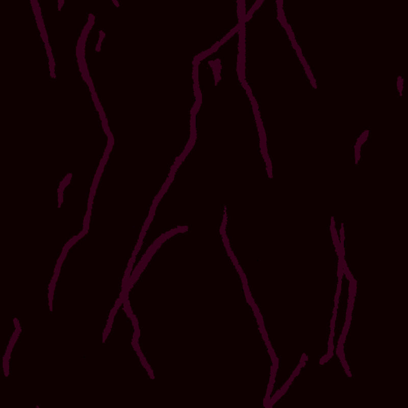 human being purple close up luxury wallpaper